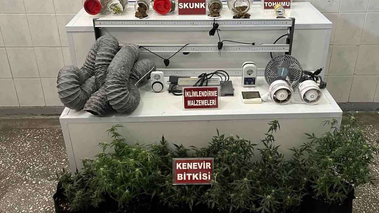 Uşak’ta Jandarmadan  Uyuşturucu Operasyonu
