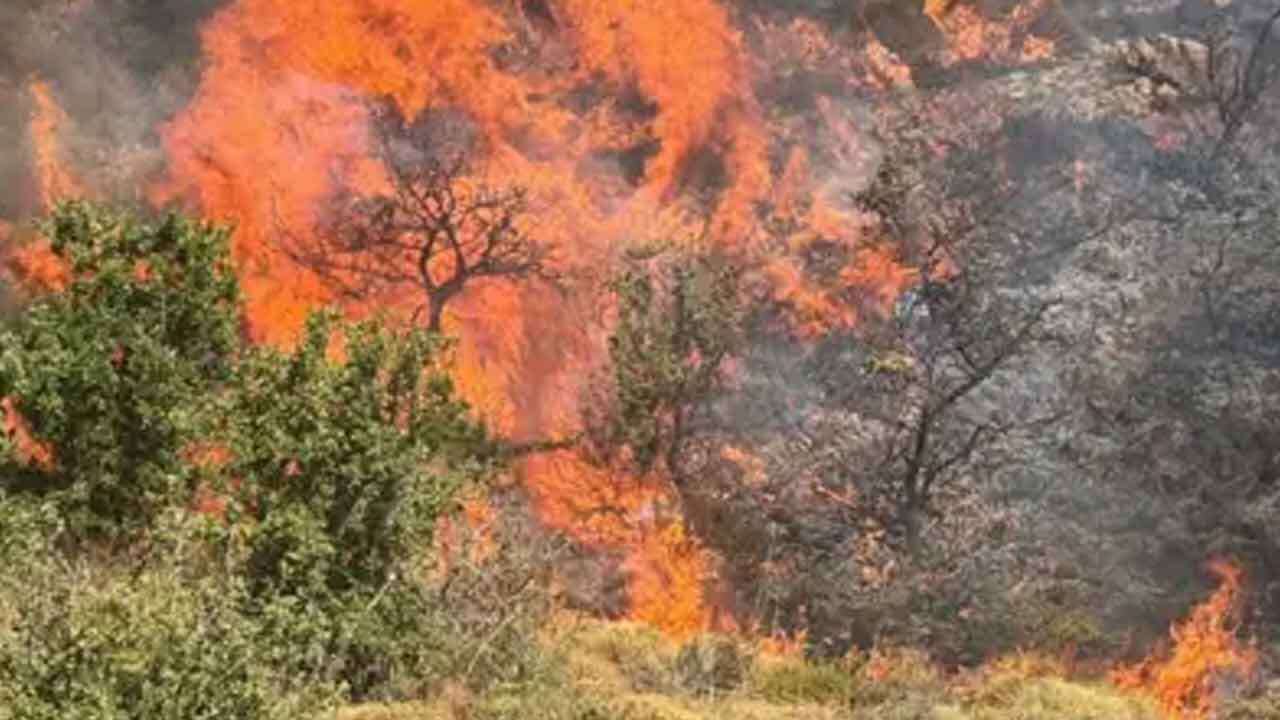 Uşak'ta Makilik Alana Sıçrayan Yangın Kontrol Altına Alındı