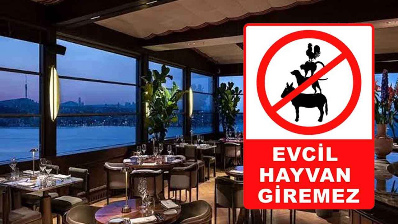 Restoranlarda Evcil Hayvan Dönemi Kapanıyor mu? Bakanlıktan Yeni Hazırlık