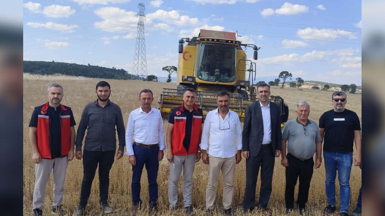 Uşak Tarlalarından 4 Bin 557 Ton Çörek Otu Çıkıyor