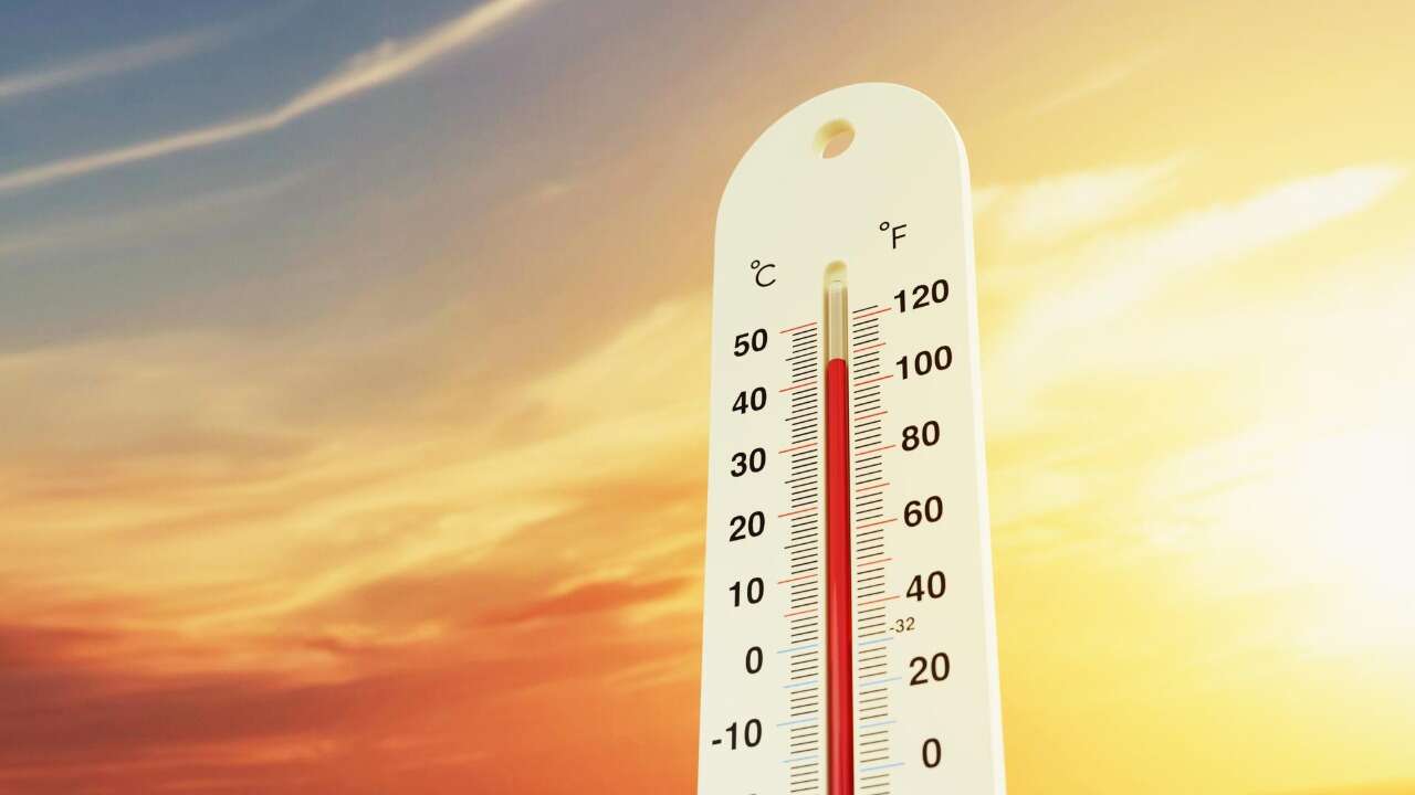 Ege Kavruldu Uşak da Listede Yer Aldı