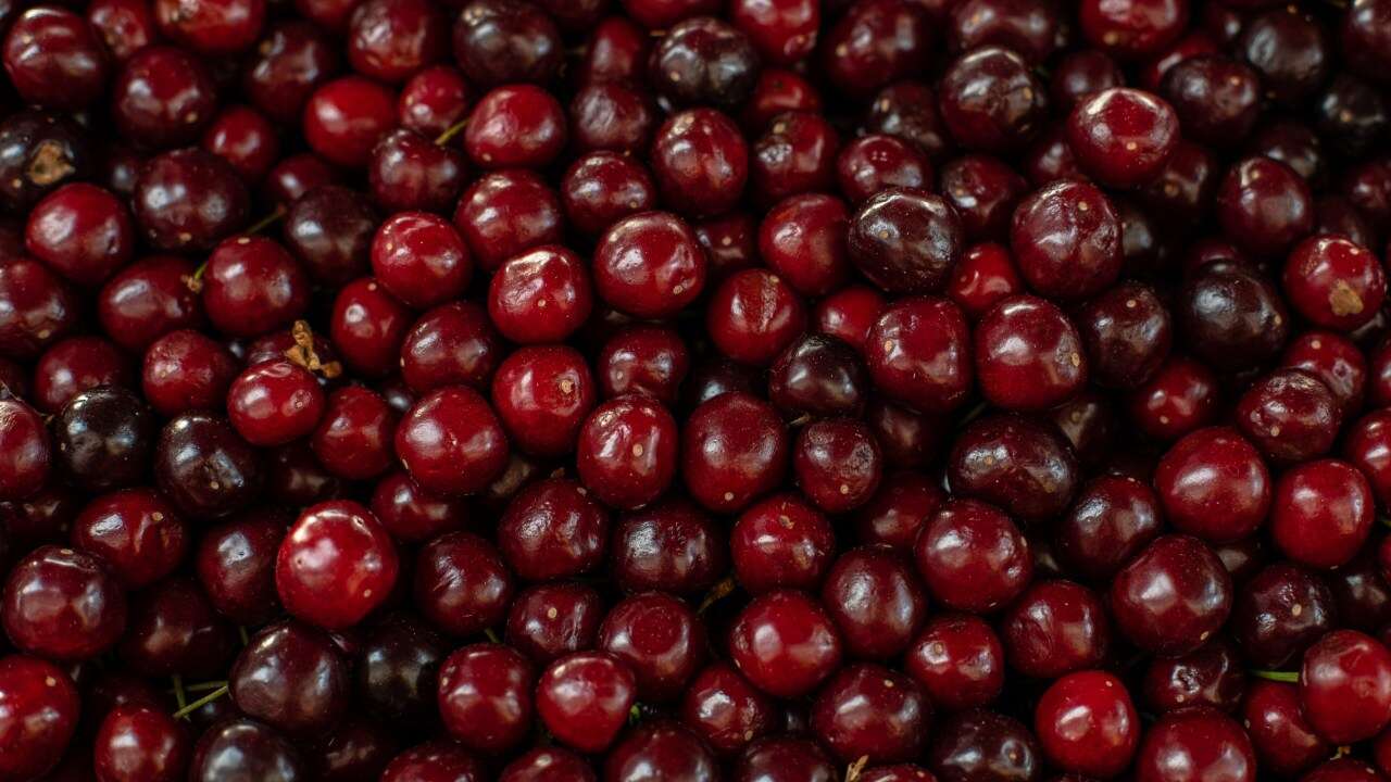 Saksıda Bile Yetiştirilebiliyor C Vitamini Oranı Dudak Uçuklatıyor