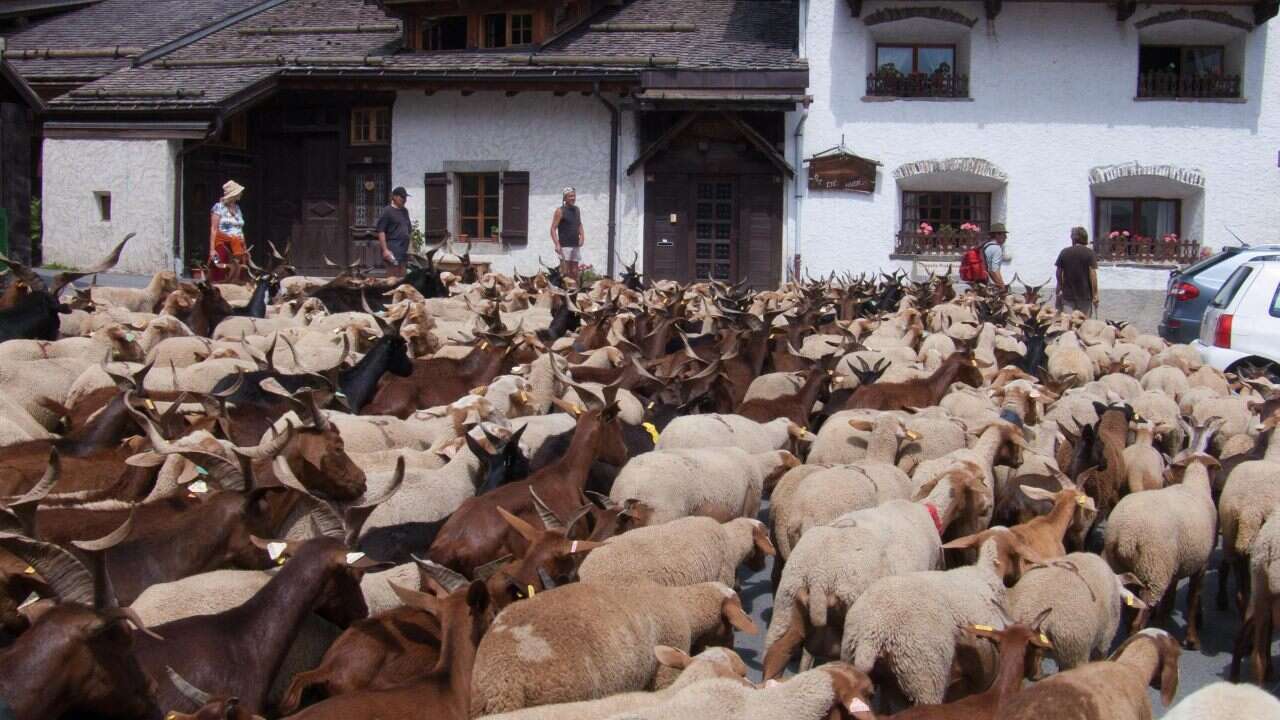 Uşak’ta İki Pazara Geçici Kapatma Kararı