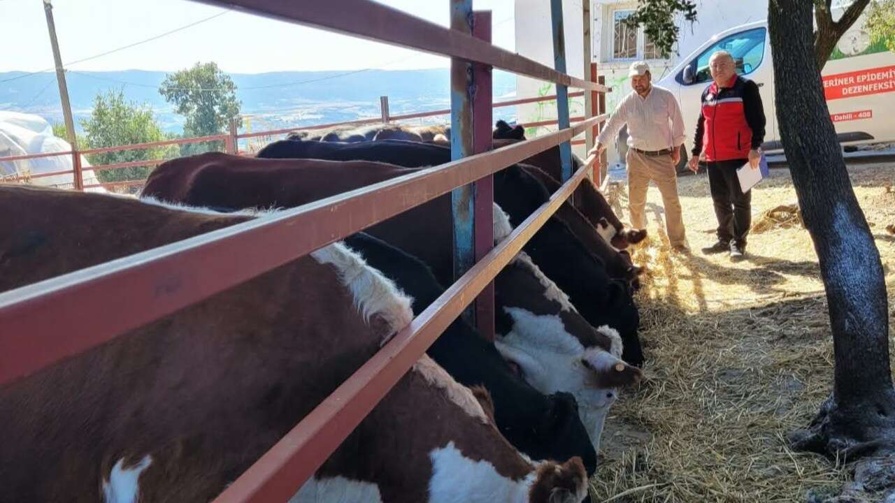 Kırsalda Bereket Projesinde Uşak’a Özel Teslim