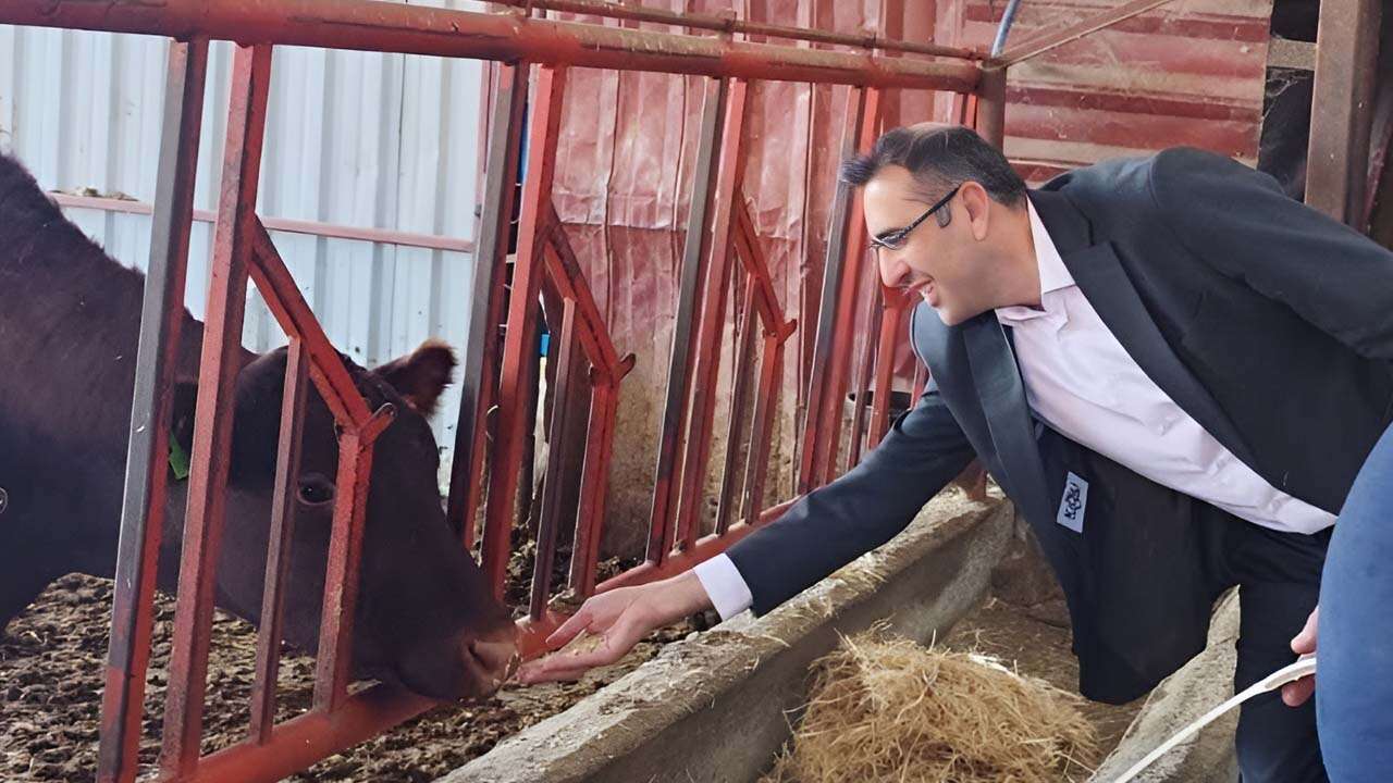 Uşak'ta Hayvancılığa Can Suyu
