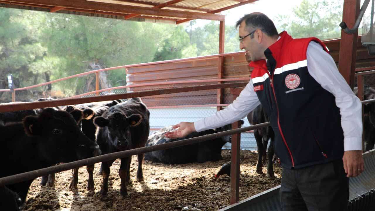 Uşak'ta Kırsalda Bereket Büyüyor Çiftçilere Destek Devam Ediyor