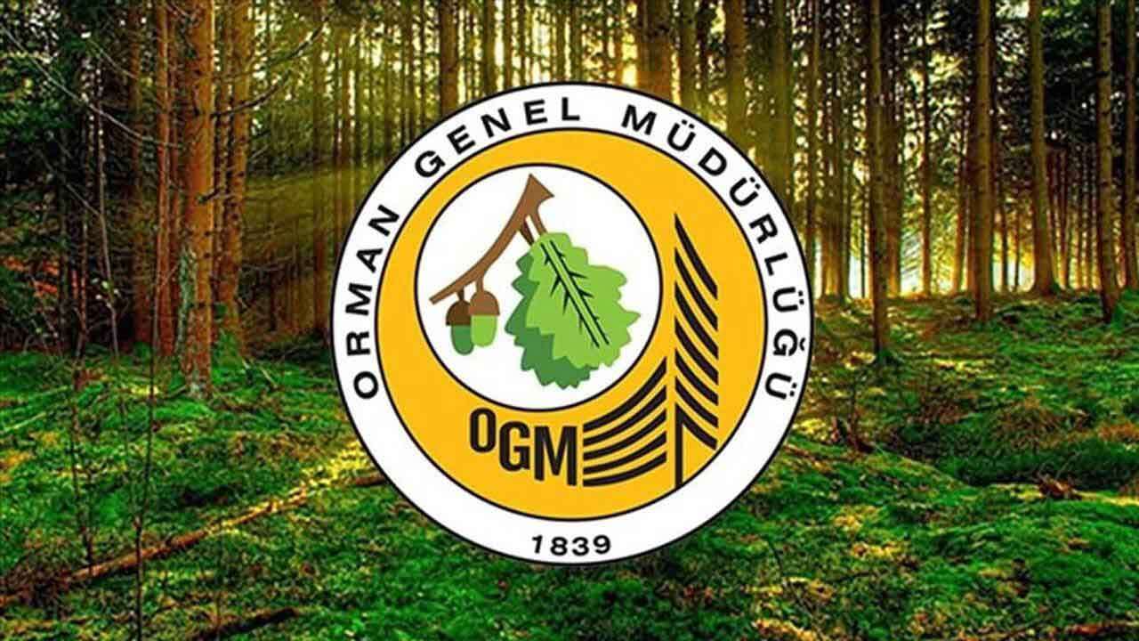OGM 496 sözleşmeli personel alacak