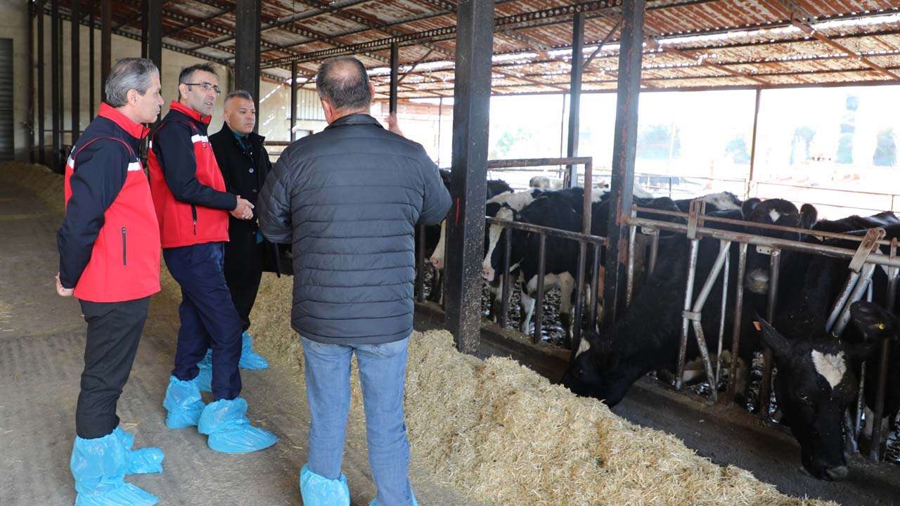 Uşak İl Tarım Müdürlüğü Eşme'de Üreticilere Modern Hayvancılık Eğitimi