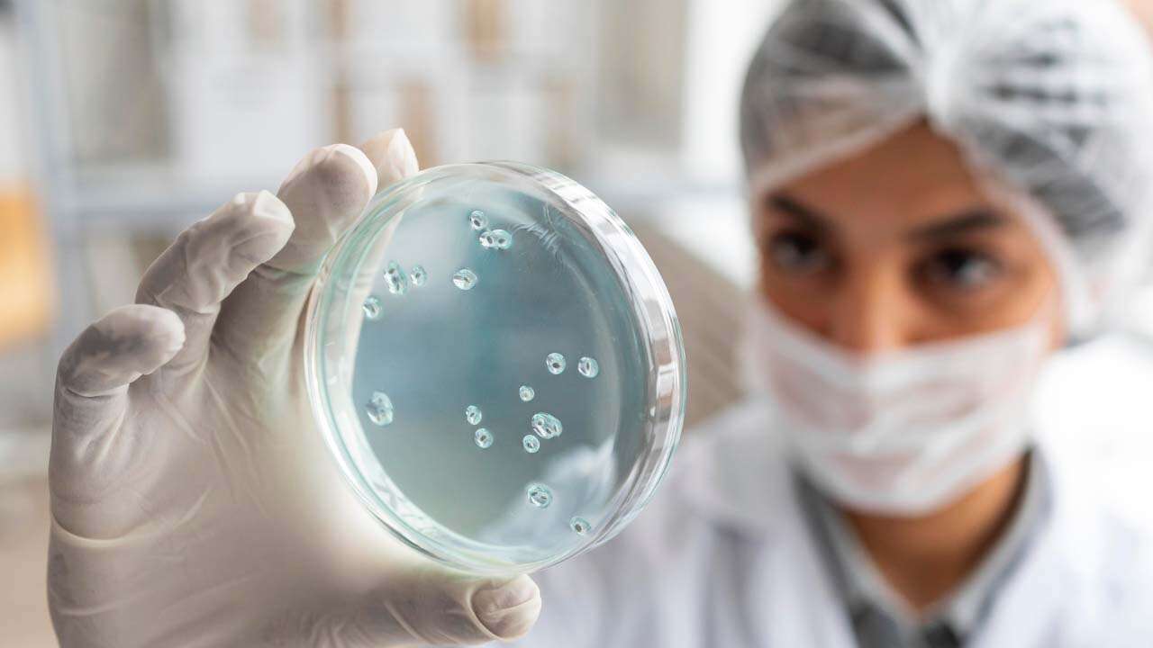 Gıda Zehirlenmesine Yol Açan Salmonella’nın İşaretleri Nelerdir?