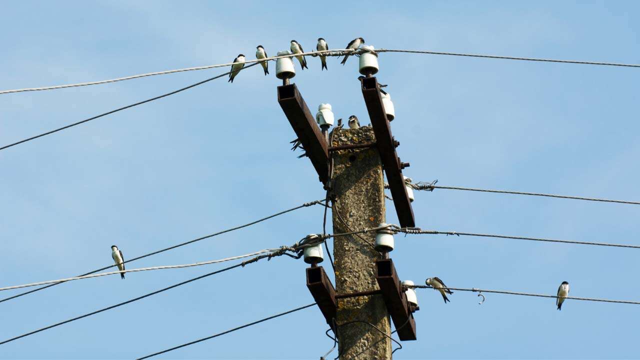 Uşak’ta 9 Ocak’ta Planlı Elektrik Kesinti Olacak