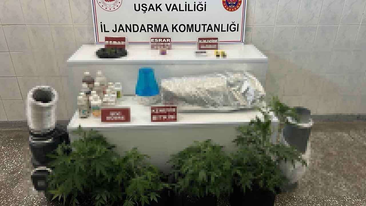 Uşak’ta Jandarma’dan Yasaklı Madde Operasyonu