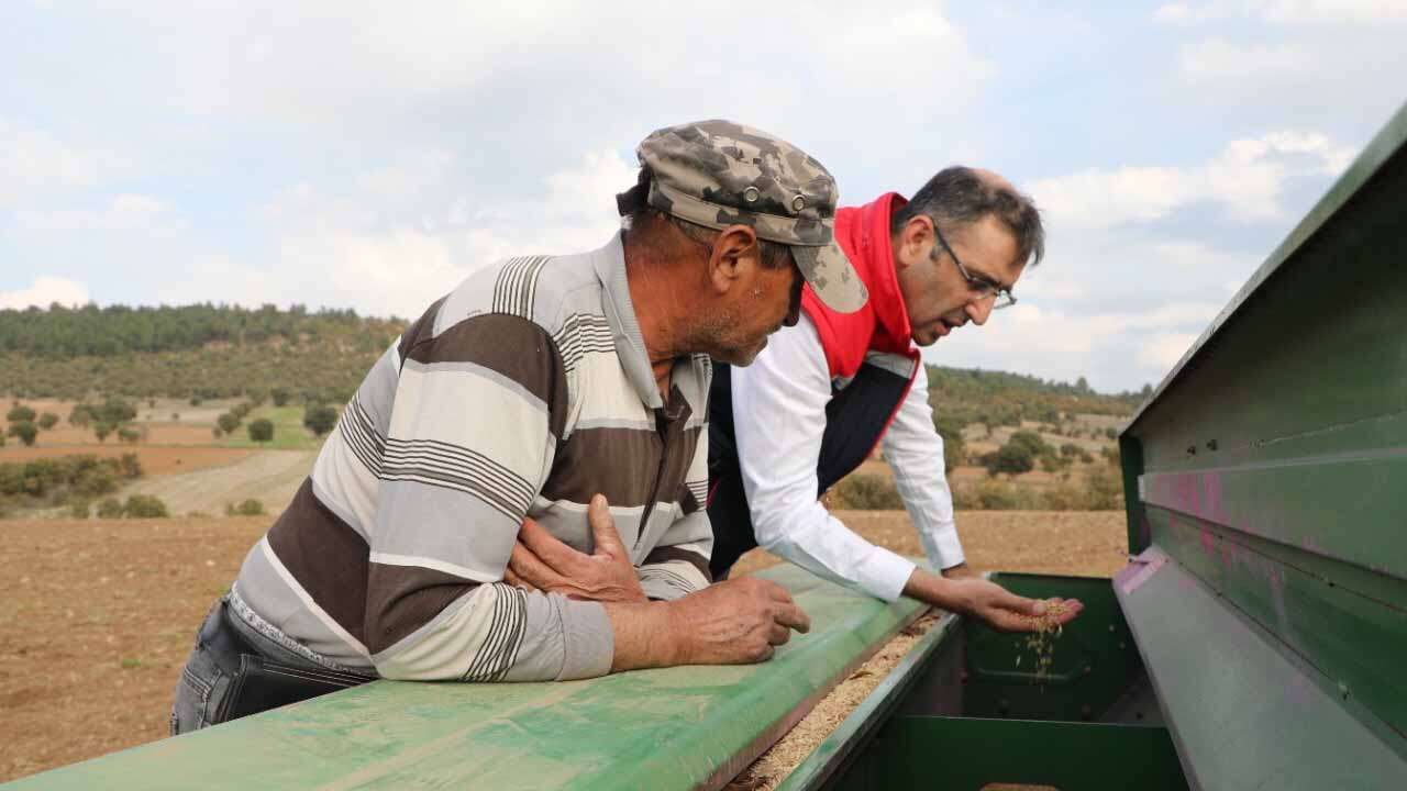 usak-il-tarim1